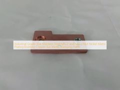 Industrial Grade 304 Stainless Steel M6-2 and M4-2 Nut Nickel Matte Plating Riveting Copper Bar Metal Stamping Parts